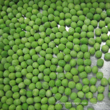 New Crop IQF Frozen Green Pea, Green Peas